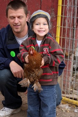 Catchin' chickens ~ Dad caught the first one