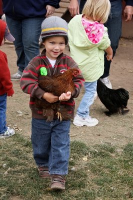 Proud as a peacock with his chicken