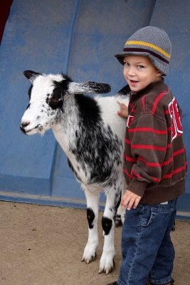 You also get to feed the goats