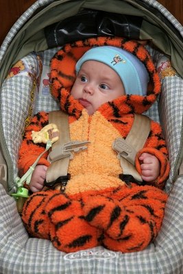 But the most wonderful thing about Tiggers is, I'm the only one!