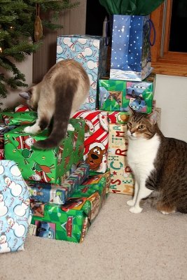 I don't think the fat guy left you anything