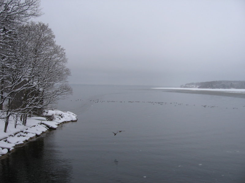 Penobscot Bay from Little River Bridge