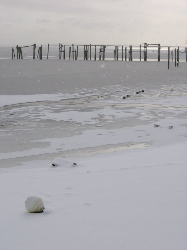 Snowshower at Belfast Harbor