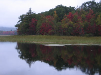 2008_09 469.jpg