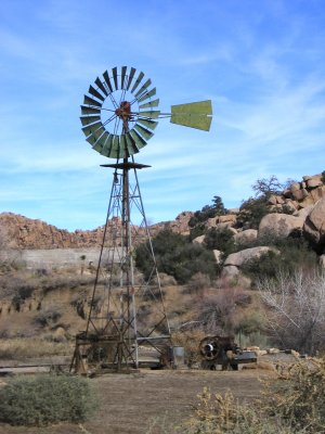 Desert Queen Ranch #5263