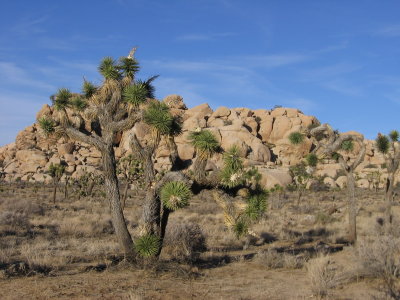 Barker Dam Loop Trail