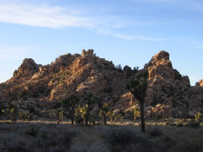Hidden Valley #5299