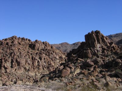 49 Palm Oasis Trail #5315