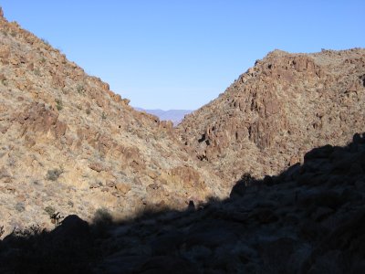 49 Palm Oasis Trail #5331