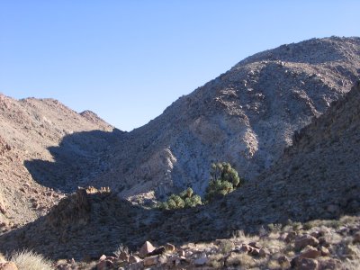 49 Palm Oasis Trail #5333