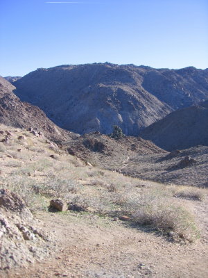 49 Palm Oasis Trail #5335