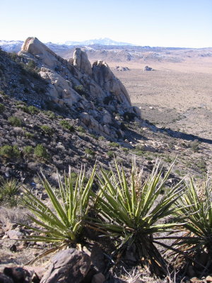 Ryan Mountain Hike #5367