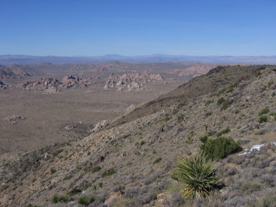 Ryan Mountain Hike #5375