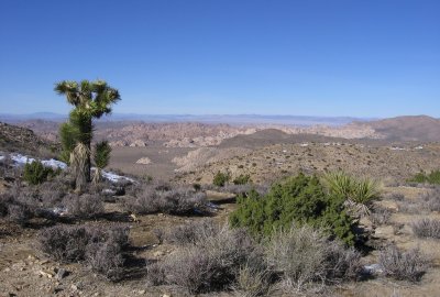 Ryan Mountain Hike #5379