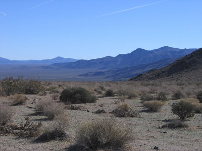 Pinto Basin #5499