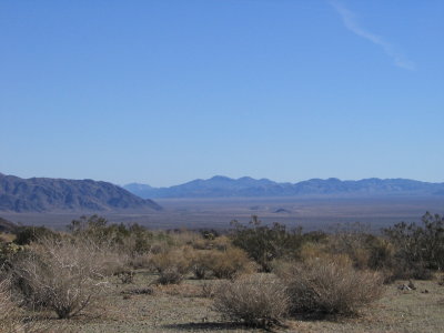 Pinto Basin #5500