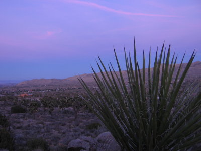 Black Rock Canyon #5530