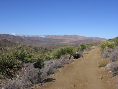 Lost Horse Mine Trail #5537