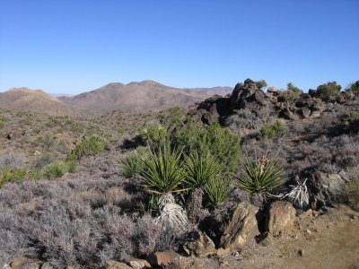 Lost Horse Mine Trail #5538