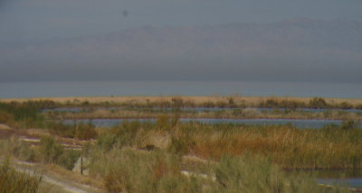 Salton Sea #5617