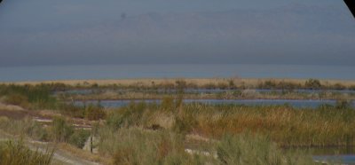 Salton Sea #5618