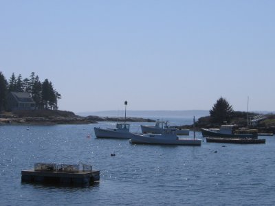 Cosy Harbor