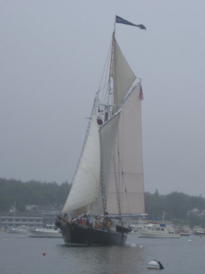 Windjammer Days 2009 -- Nathaniel Bowditch #6849