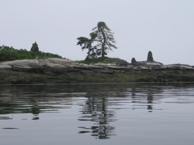 Osprey Nest in Linekin Bay #6978