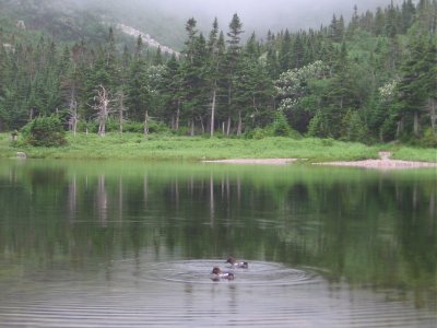 Katahdin's Chimney Pond #7097
