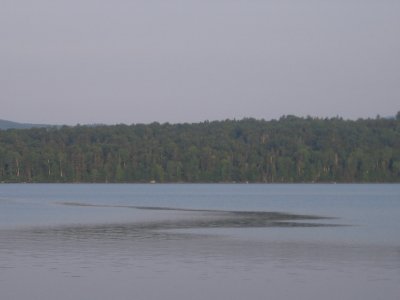 mooselookmeguntic lake #7557