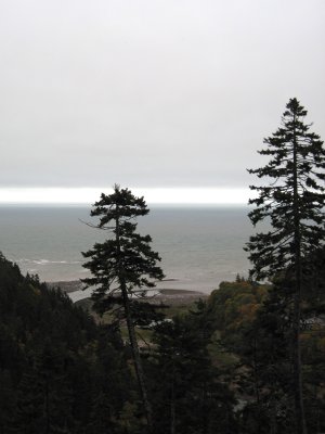 where the river meets the sea