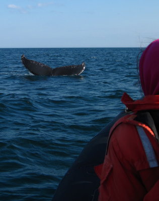 Quarternote and our Zodiac #861