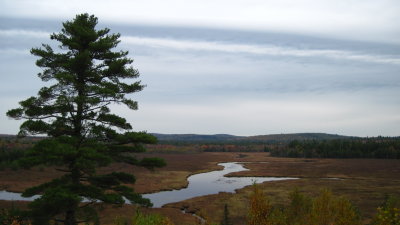 Union River #924