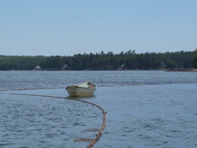 herring nets & dory