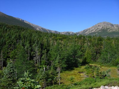 2008_08 653.jpg