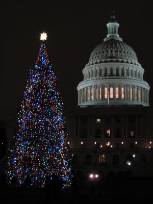 The Capitol & The People's Tree