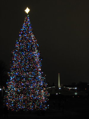 The People's Tree & the Washington Monument