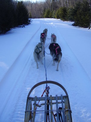 Back out for an afternoon stroll