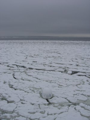 Mooring amid Ice Floes