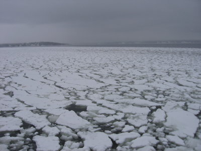 Ice Floes at Bayside