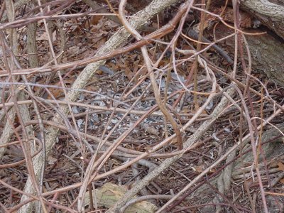 site - close