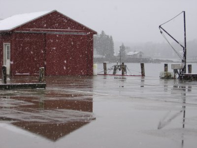 Snowshower on the wharf