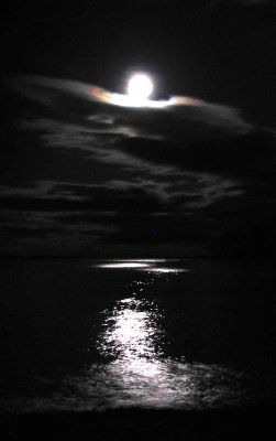 May Moonbeams at Ducktrap Harbor