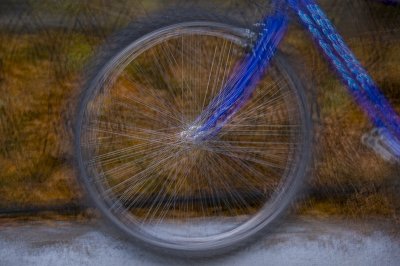 Cycle With A Split Personality
