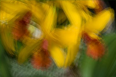 Exposures