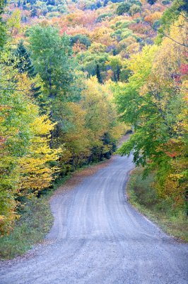 Country Road In Mont Tremblant
