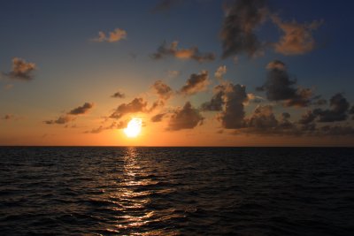 Cayman Sundown