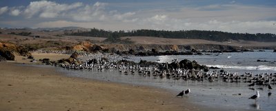 San Simeon Beach