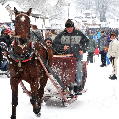Horse  Sledge_01.jpg