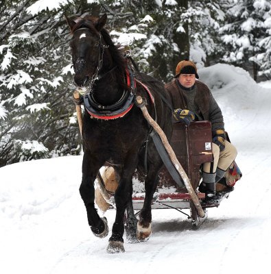 Horse  Sledge_03.jpg